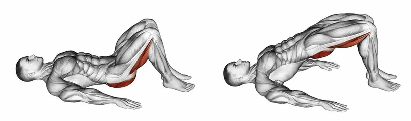 Glute bridge men sale